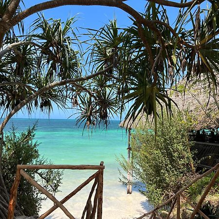 Z-Lodge Zanzibar Kiwengwa  Exteriör bild