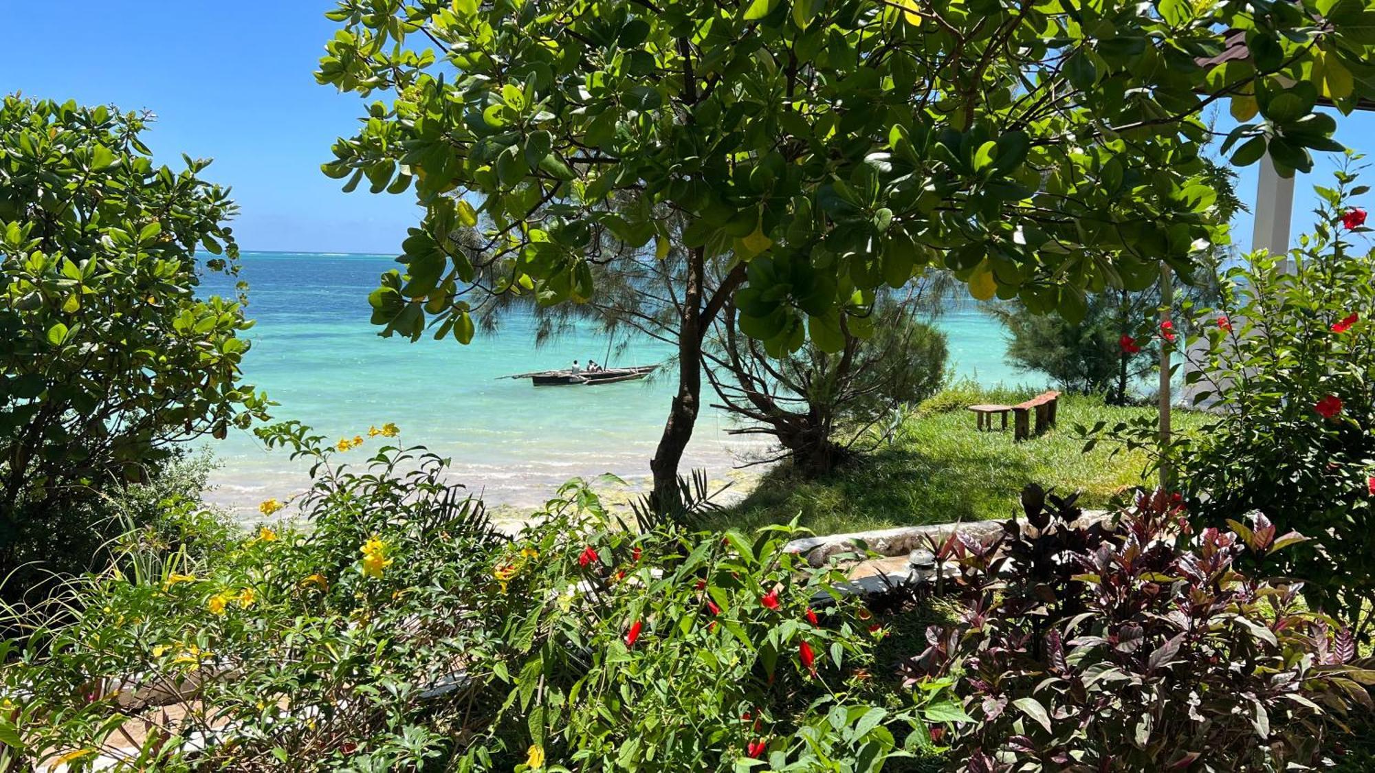 Z-Lodge Zanzibar Kiwengwa  Exteriör bild