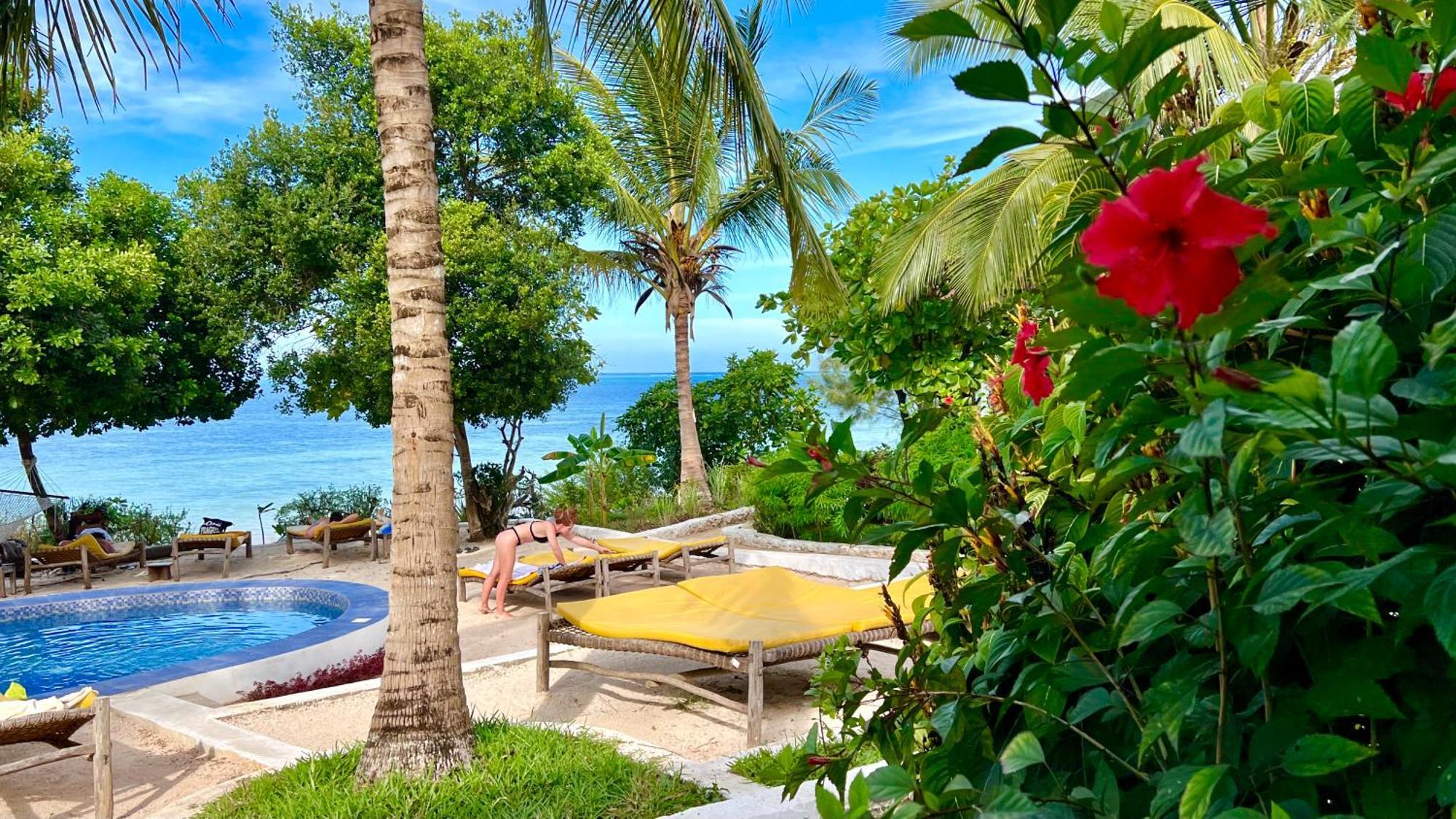 Z-Lodge Zanzibar Kiwengwa  Exteriör bild