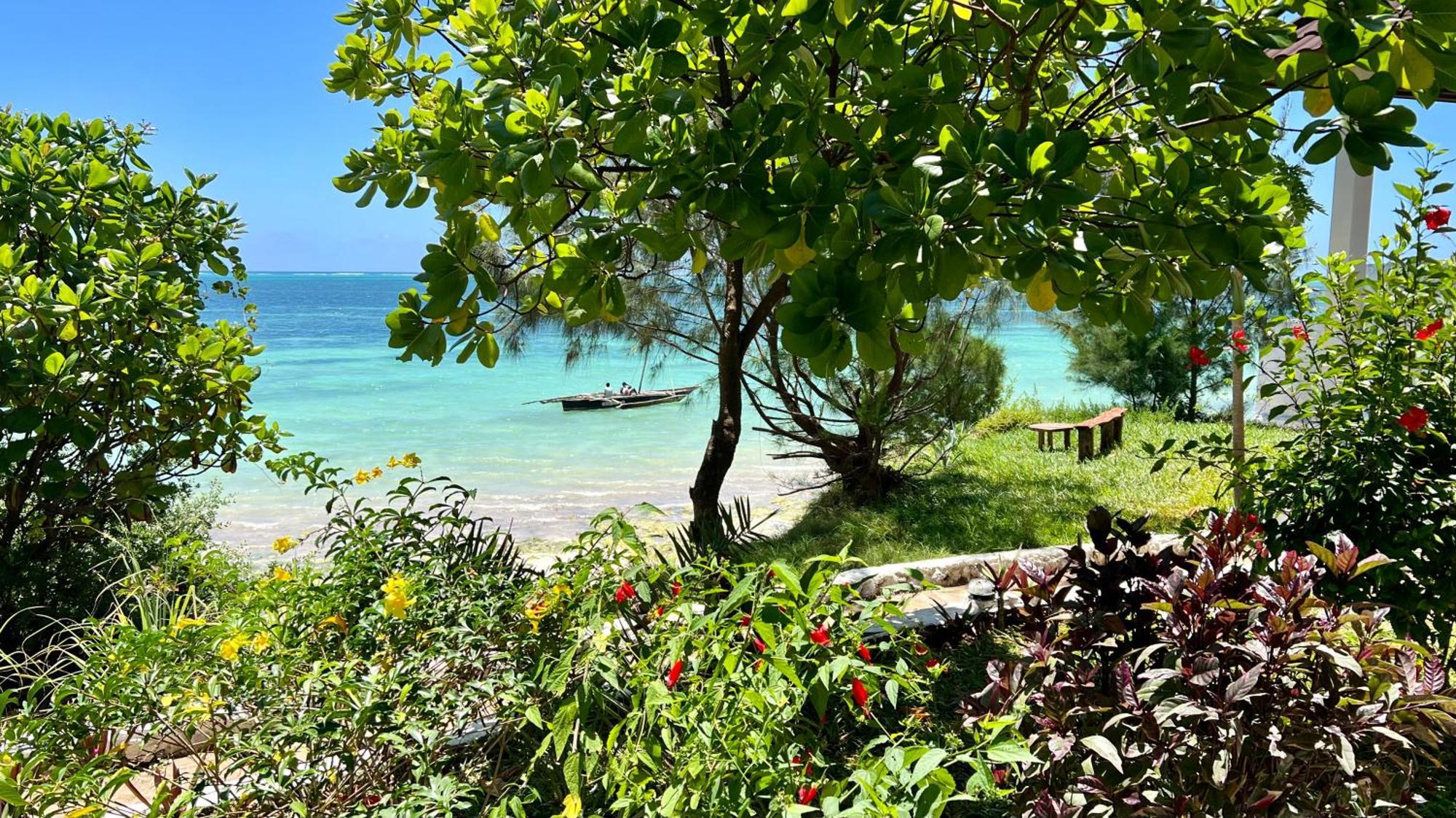Z-Lodge Zanzibar Kiwengwa  Exteriör bild
